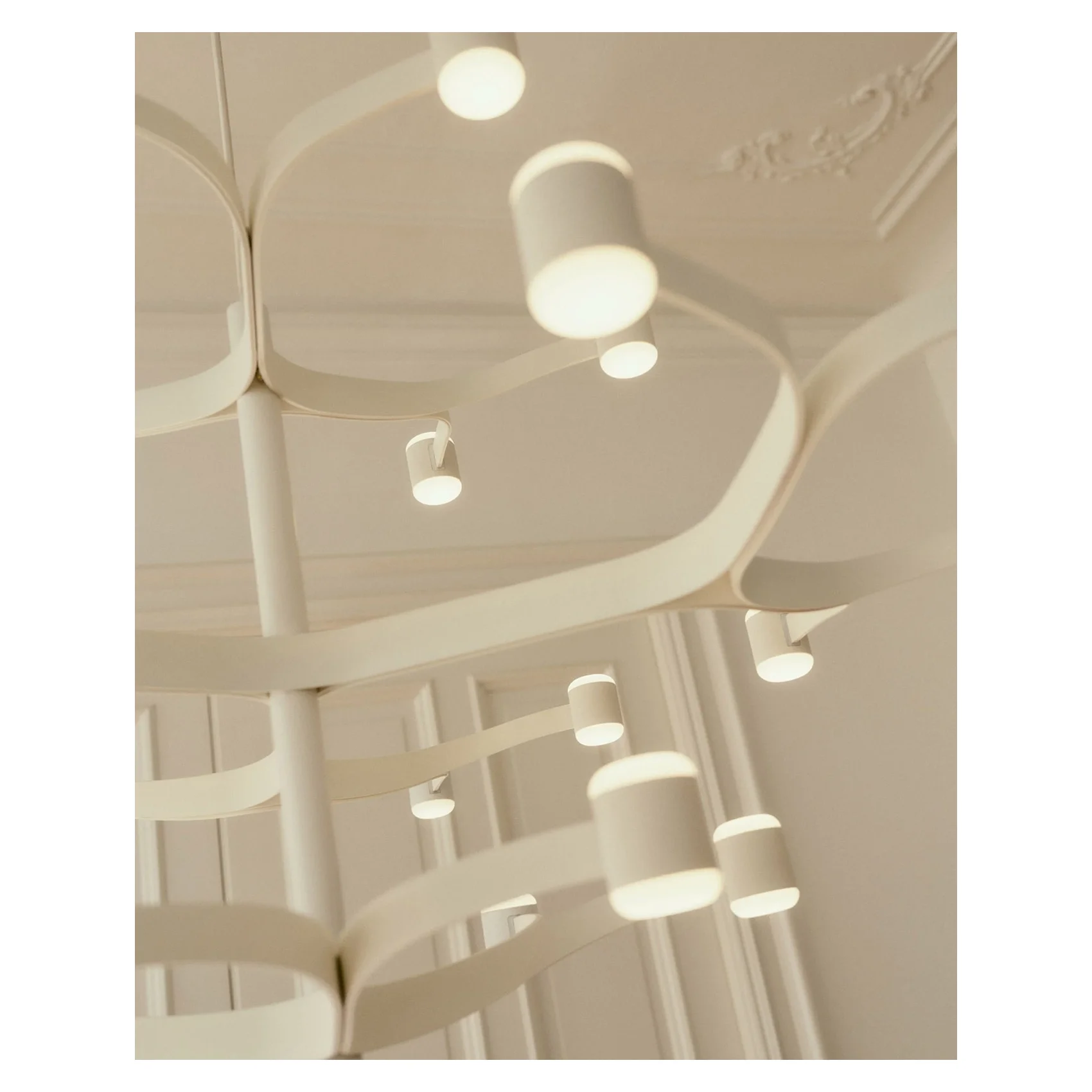 fronda-gallery-02.webp