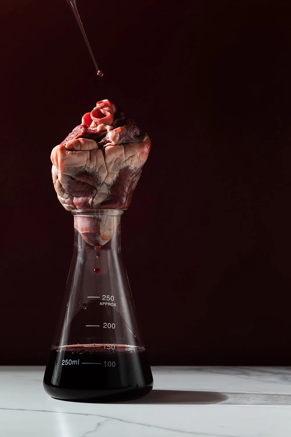 bleeding_heart_lamb.jpg
