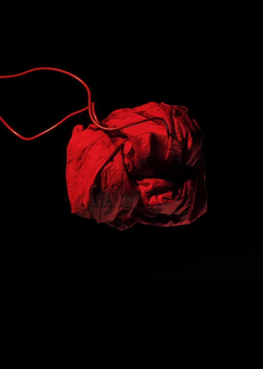 Red Heart Cord_614mm_861mm_300 res.jpg