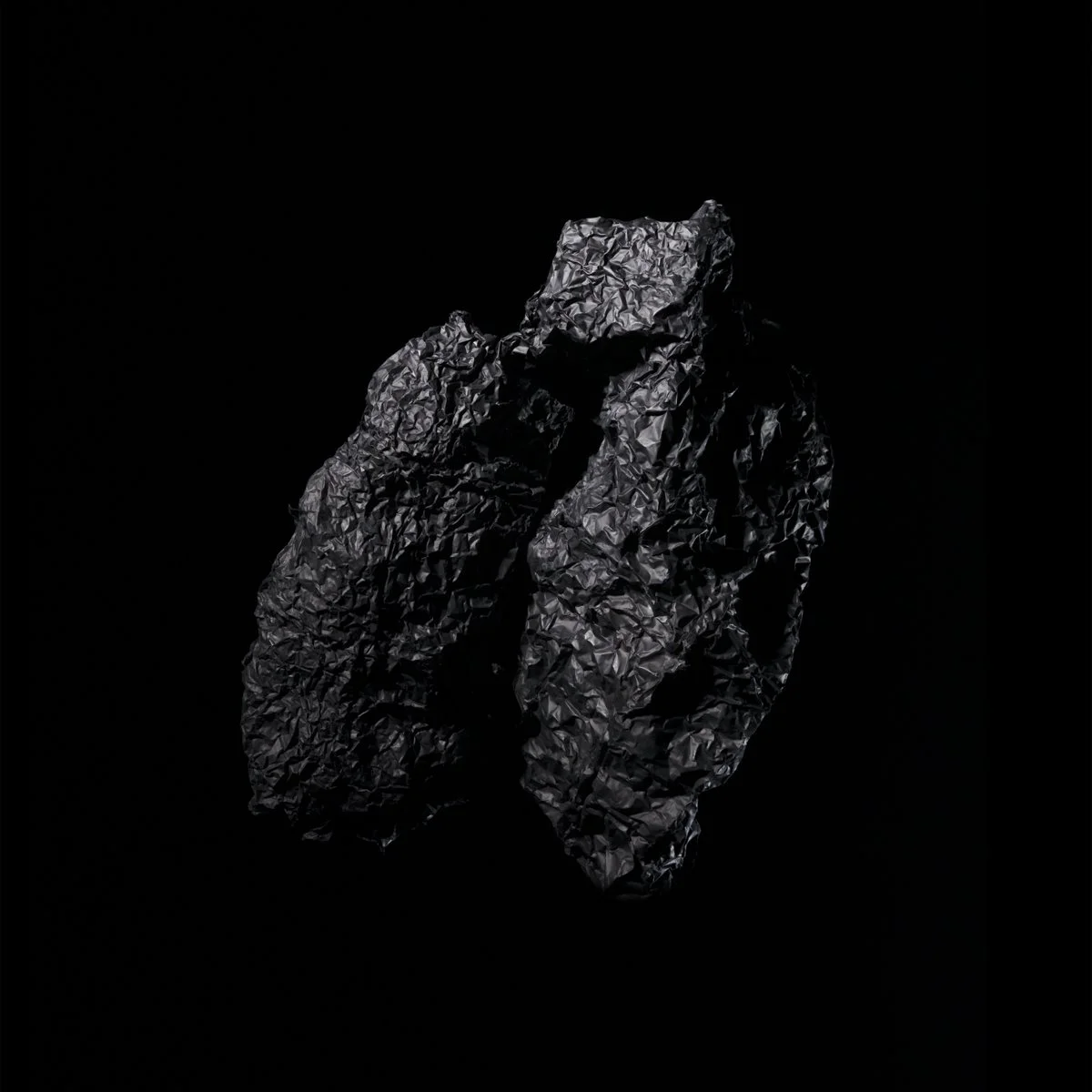 Lung_360 res_614 x 614mm_Sm Square.jpg