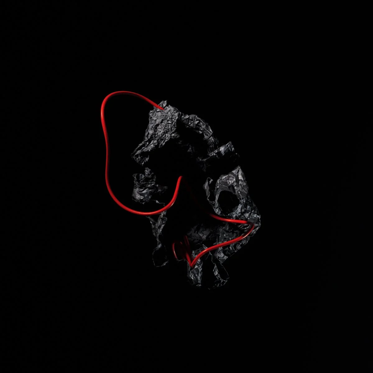 Red Cord LHS_861mm_861mm_240 res.jpg