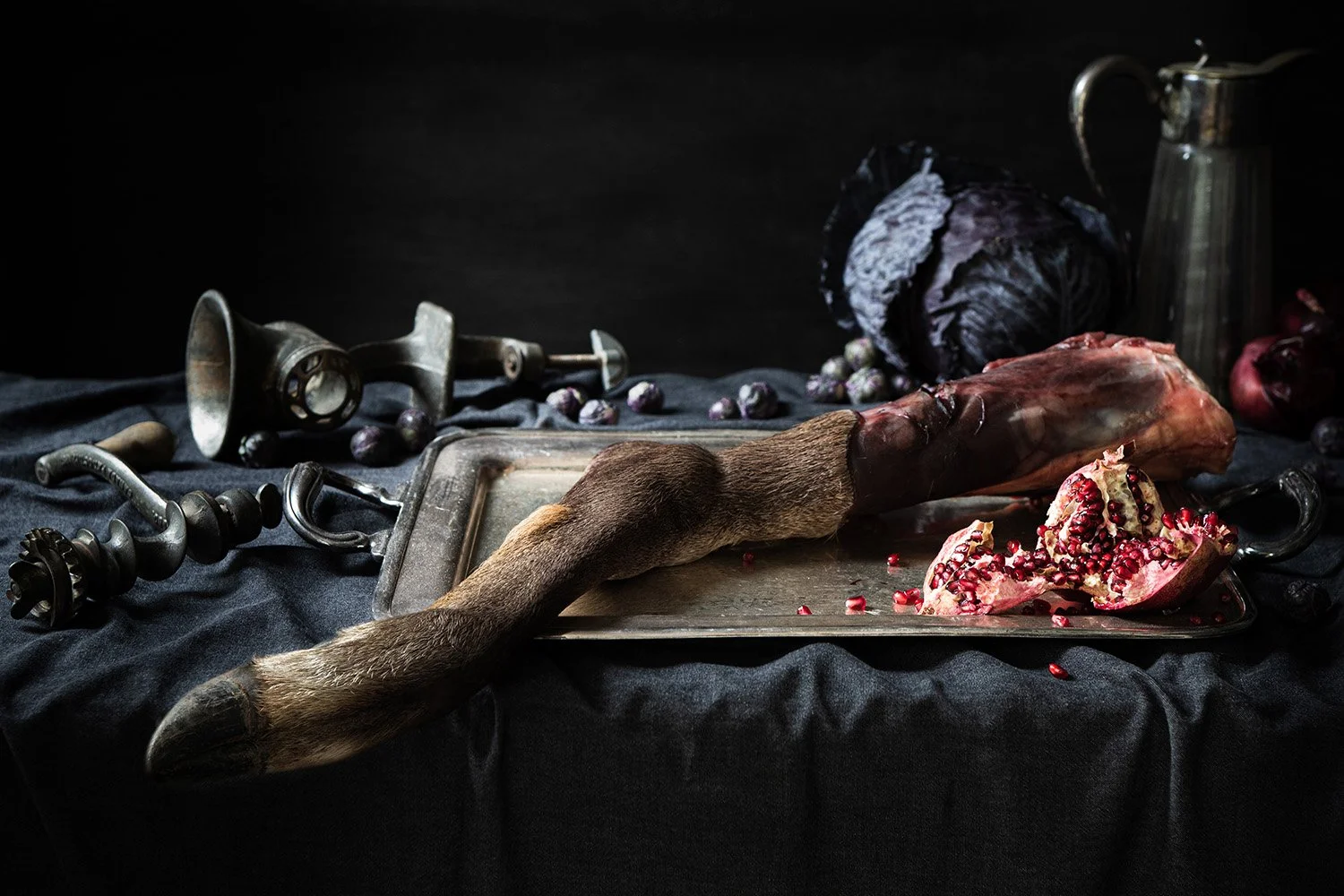 stilllife_death_deer_leg.jpg