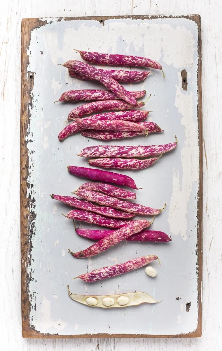 borlotti_beans.jpg