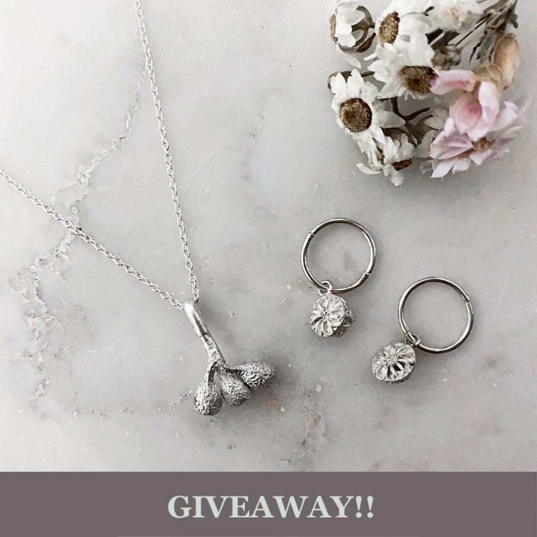 GIVEAWAY!!
This is my first ever giveaway! We are celebrating our first birthday here at Seeds of Silver! I can&rsquo;t believe it has already been one year today (August 5th) since I launched Seeds of Silver!
I have been wanting to do a giveaway for