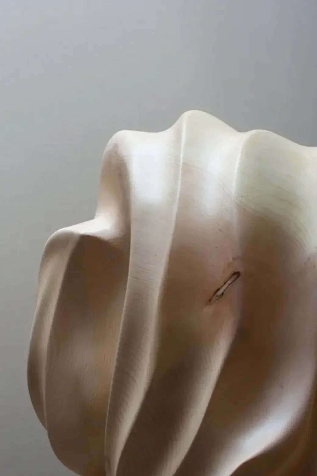 Cirmolo sculpture by Andrea Solaja, wood material research