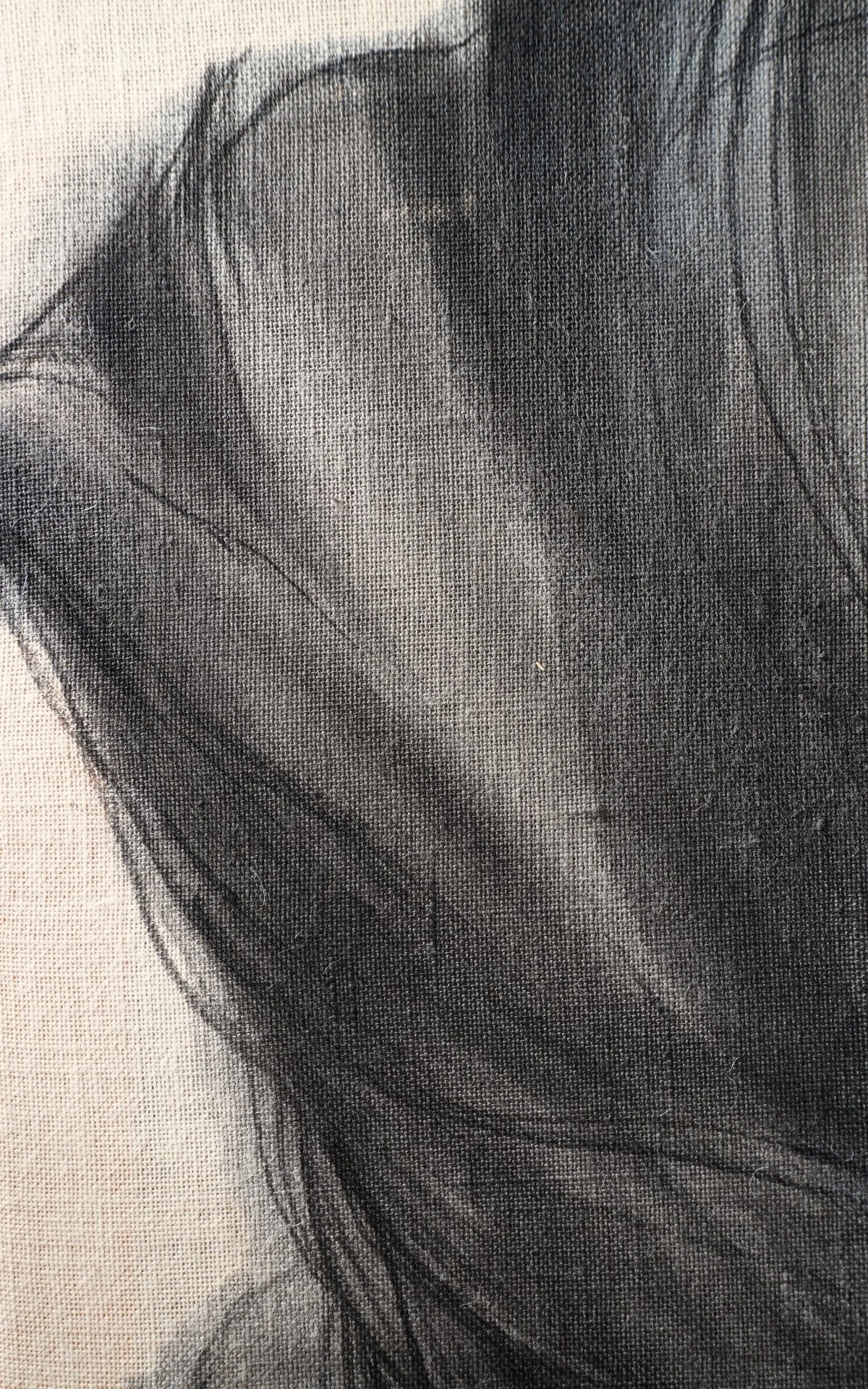 ECLYPSYS 2 detaill.jpg