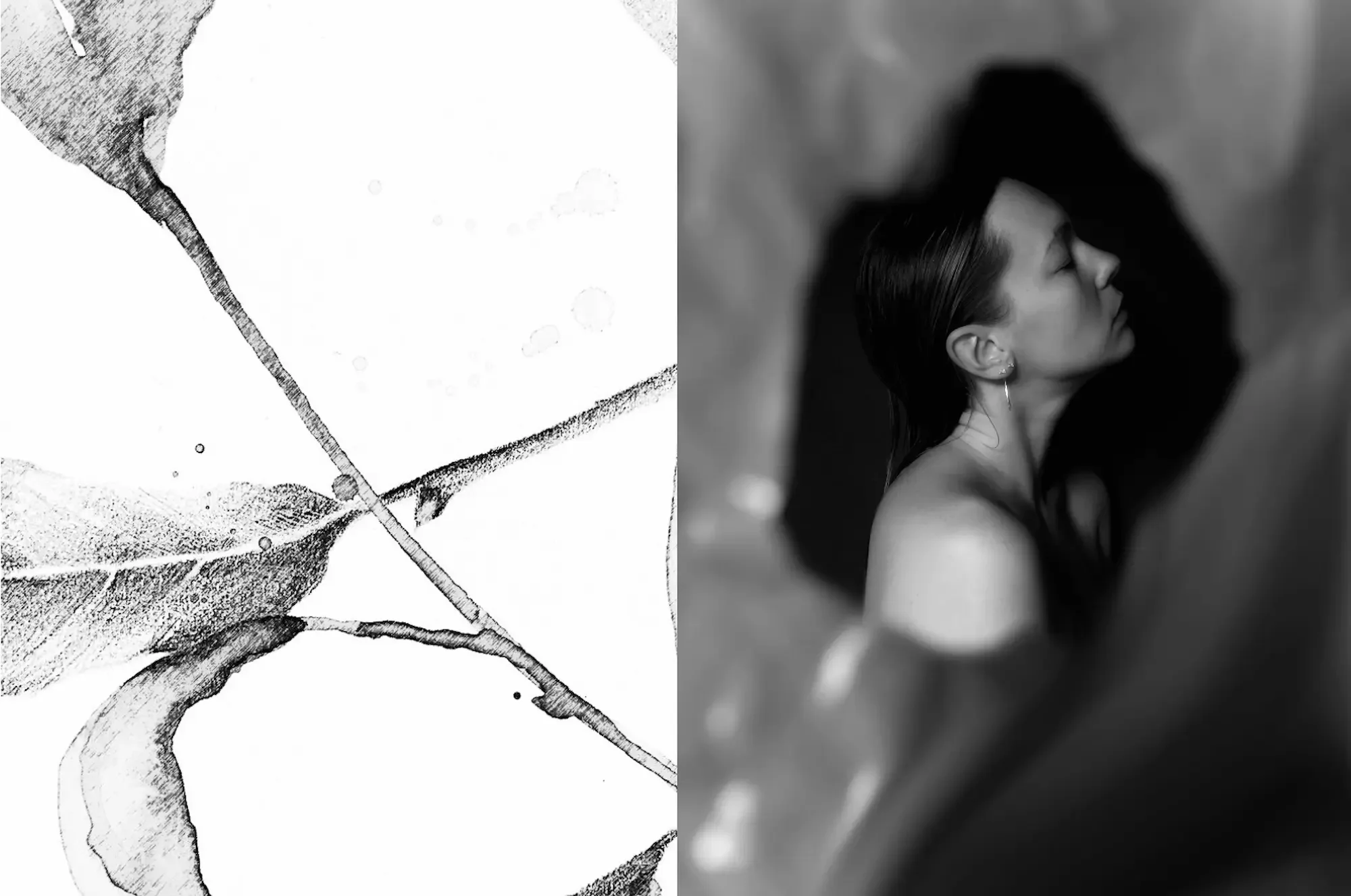 Home Andrea Solaja.webp