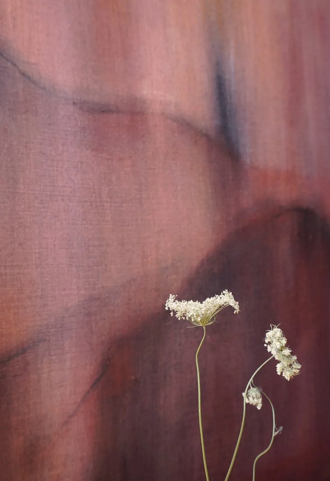 NOCTILUCA 4 DETAIL 1 ANDREA SOLAJA.jpg