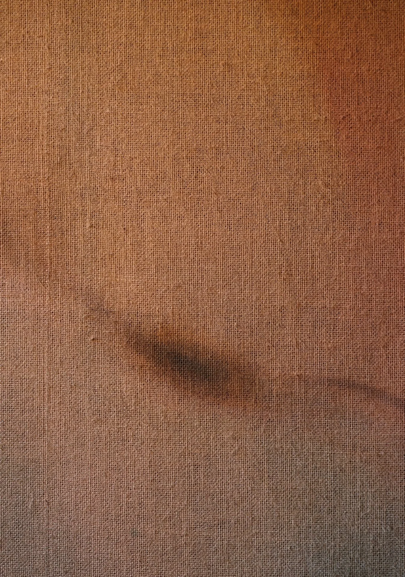 SOOTHING PETRICHOR 2C detail 1 Andrea Solaja.jpg