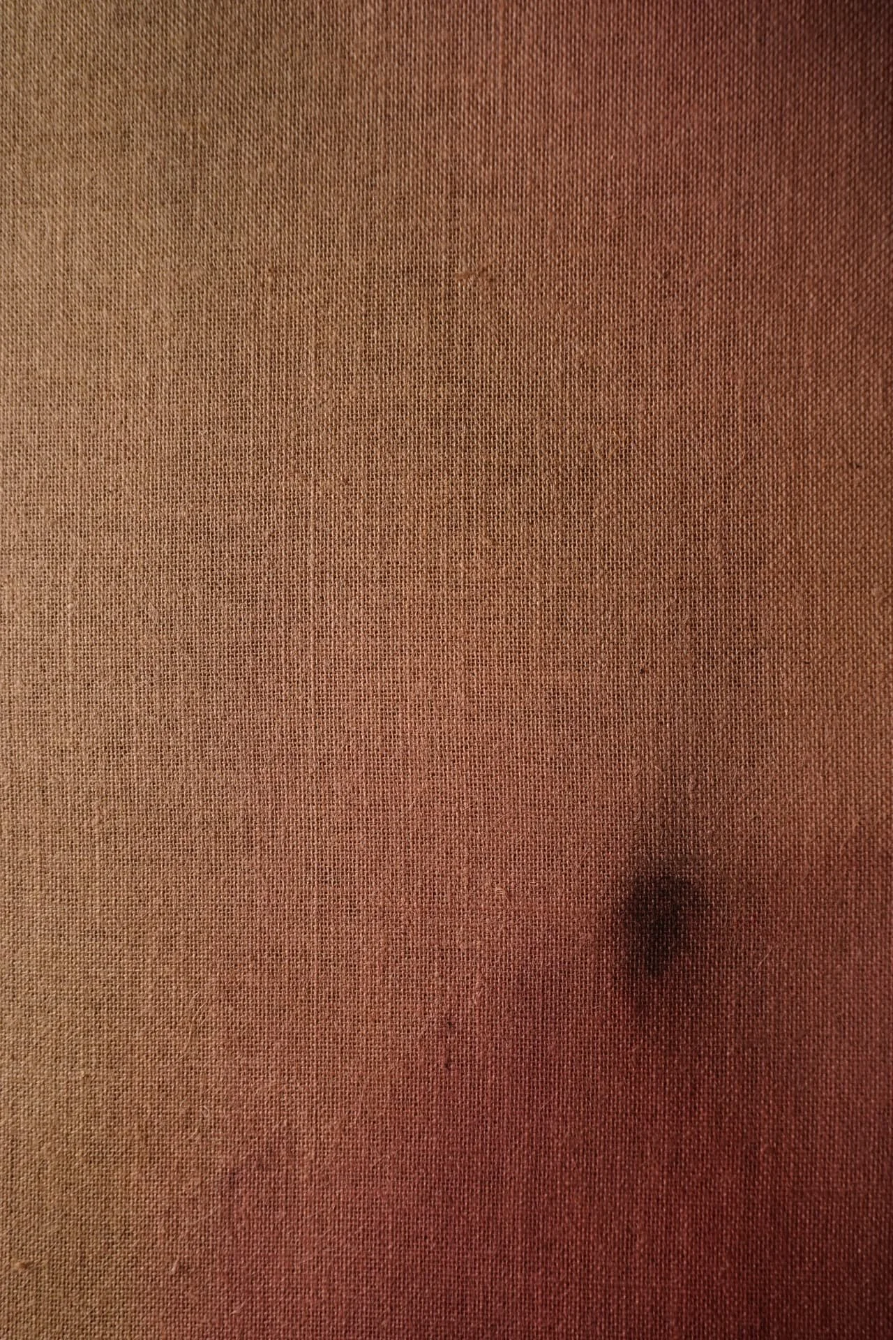 SOOTHING PETRICHOR 11 detail 1 Andrea Solaja.jpg