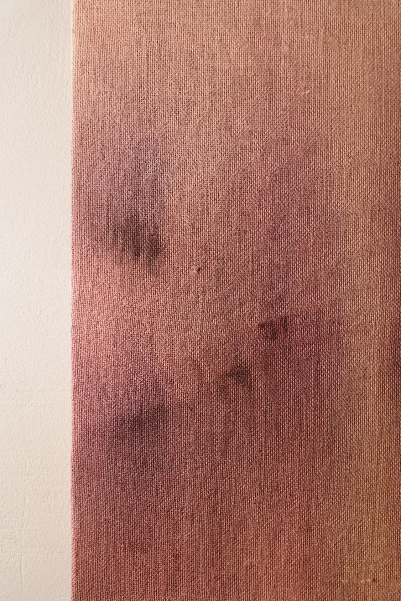 SOOTHING PETRICHOR 12 detail Andrea Solaja.jpg