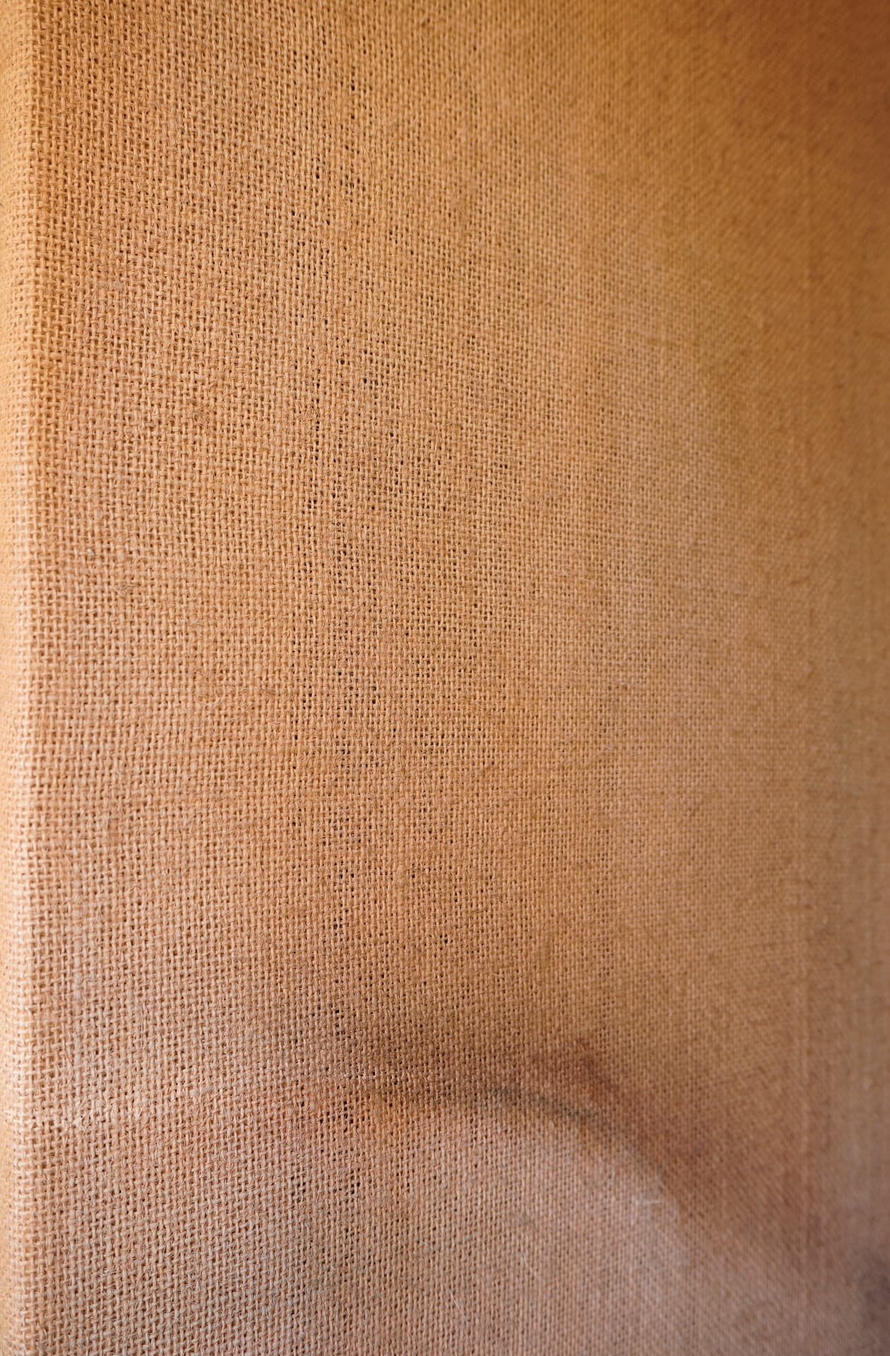 SOOTHING PETRICHOR 2C detail 4 Andrea Solaja.jpg