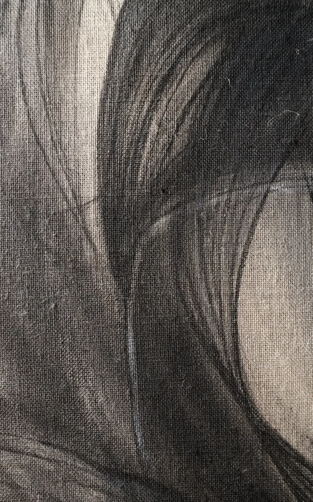 MYOPOS artwork in a minimalist environment, natural light and artistic perspective, Andrea Solaja