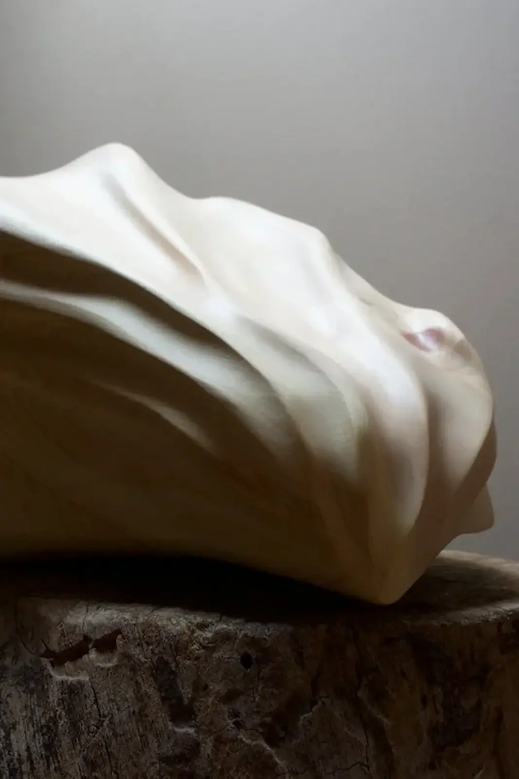 Cirmolo sculpture by Andrea Solaja, wood material research