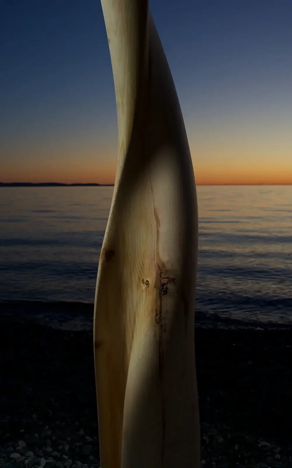 Cirmolo sculpture by Andrea Solaja, wood material research