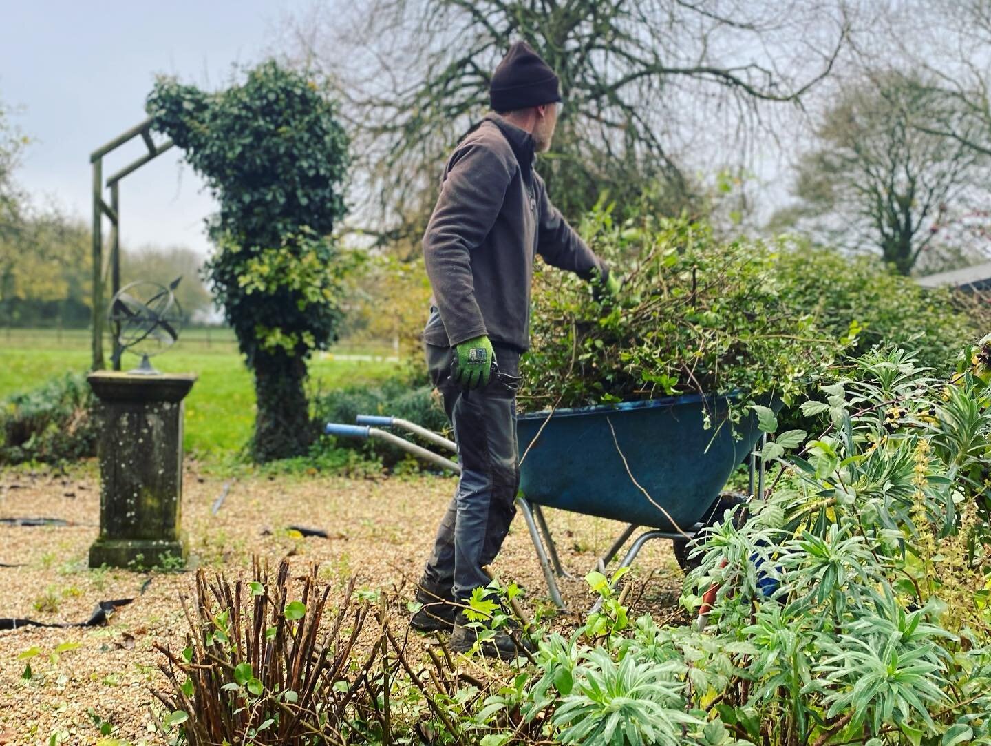 Toby - you are more than just a gardener! 👨🏻&zwj;🌾

Shoutout to the skills that this fantastic man possesses. He helps maintain the beautiful garden that we are so grateful to have and we appreciate all that you do, Toby! 🏡

(And thank you for ag