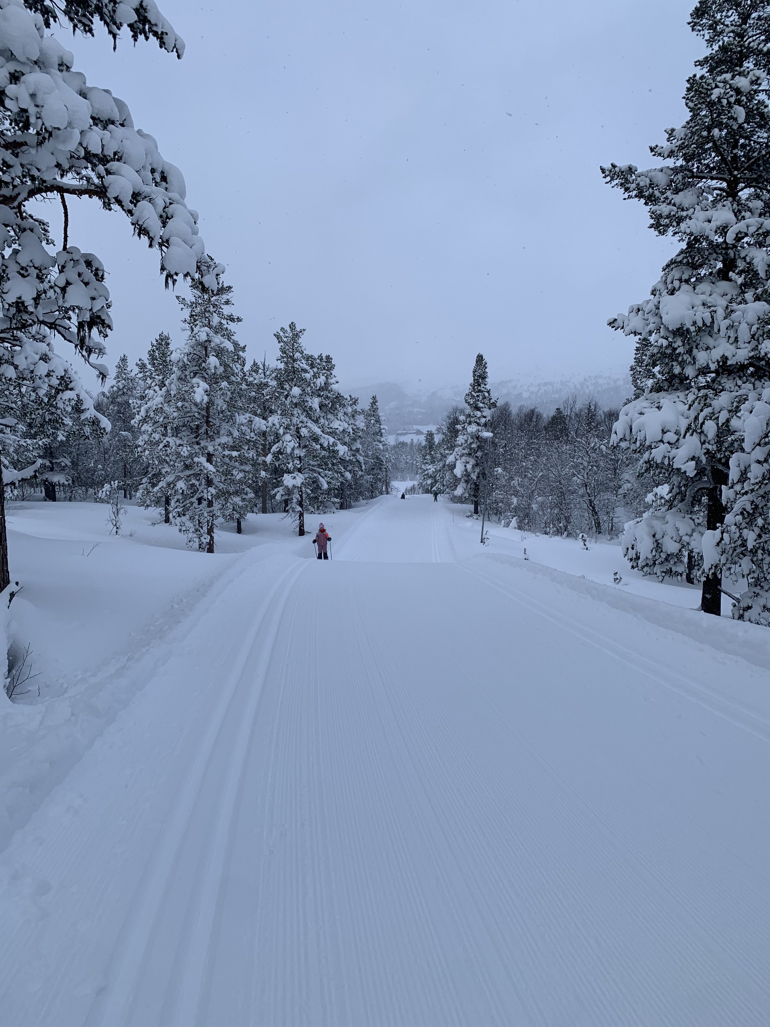 Nypreppa vinterløyper for langrenn