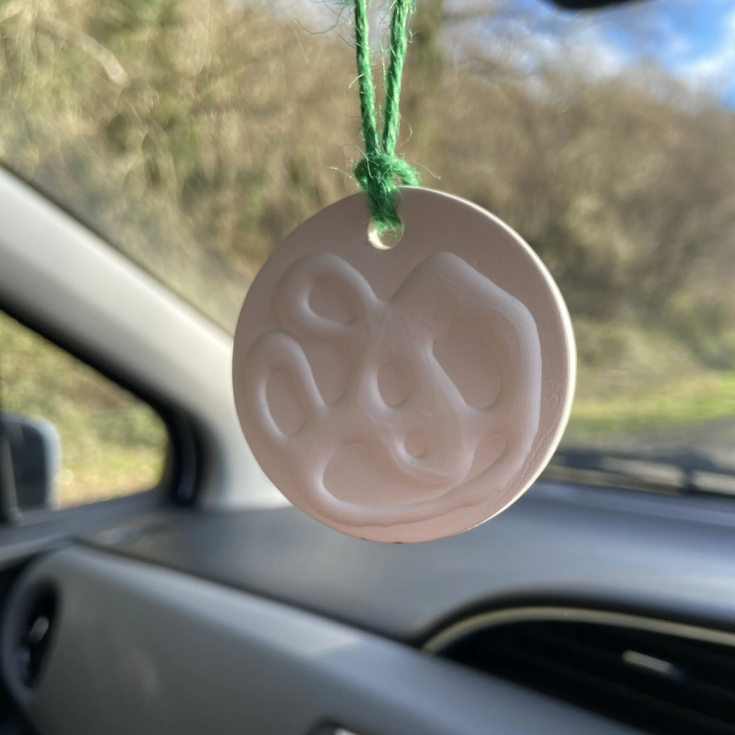 round.coral.car.air.freshener.JPG