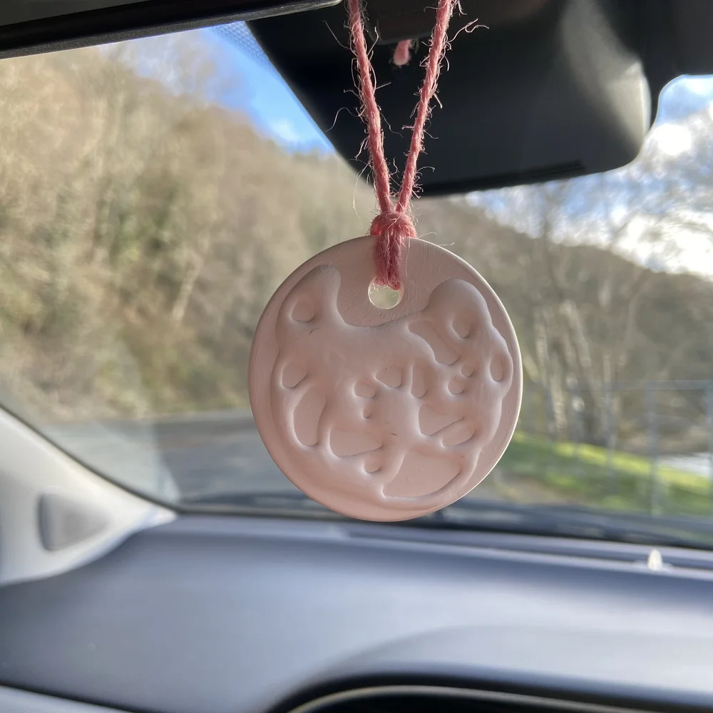 eco friendly reusable car air freshener — Carys Boyle Ceramics