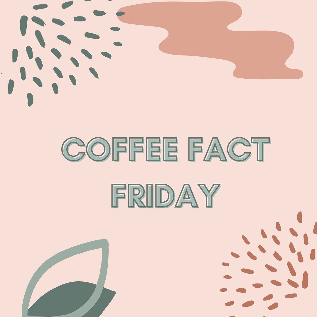 COFFEE FACT FRIDAY! #010
⛰️☁️🌤️