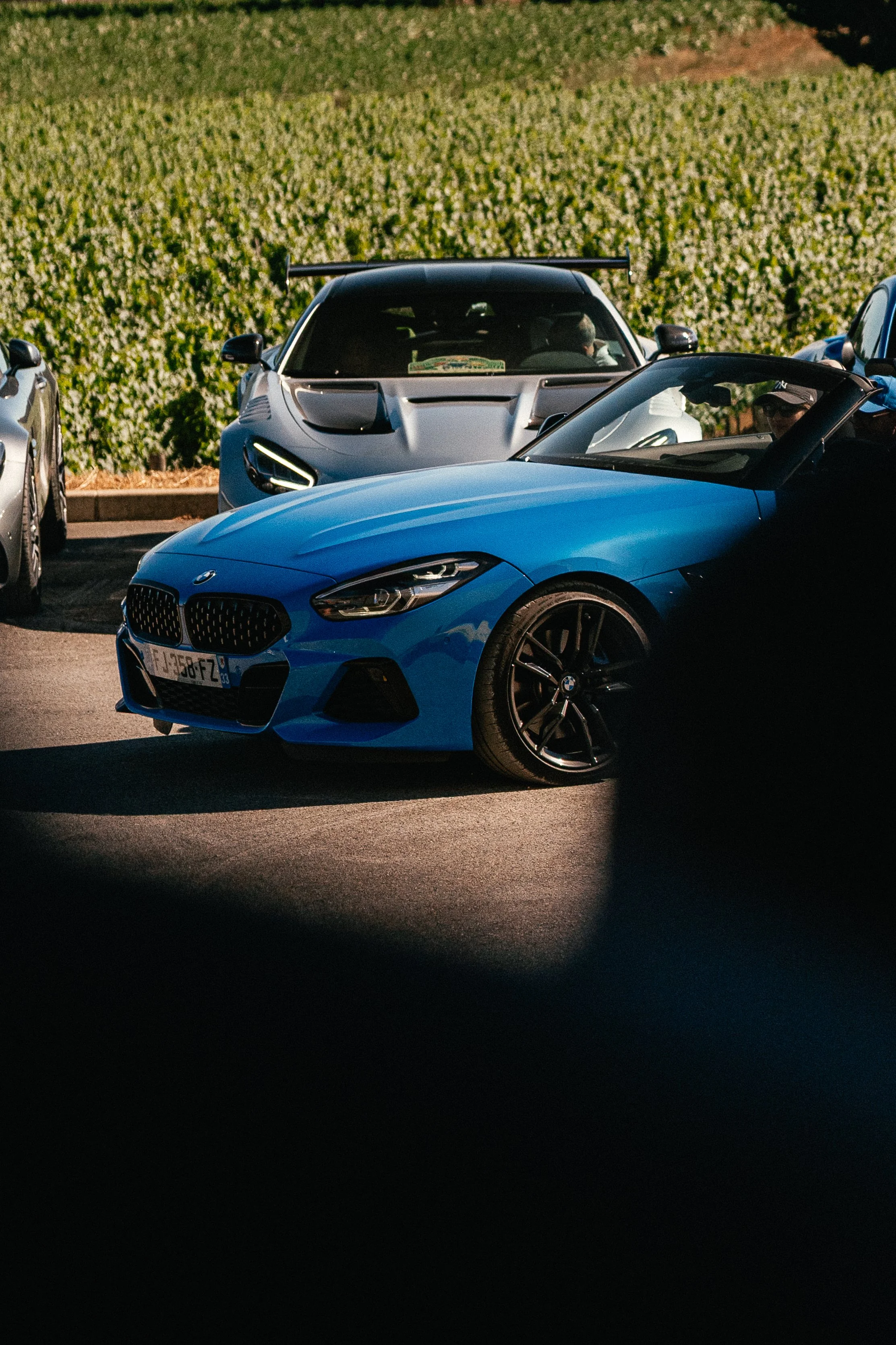 A7400991.jpg