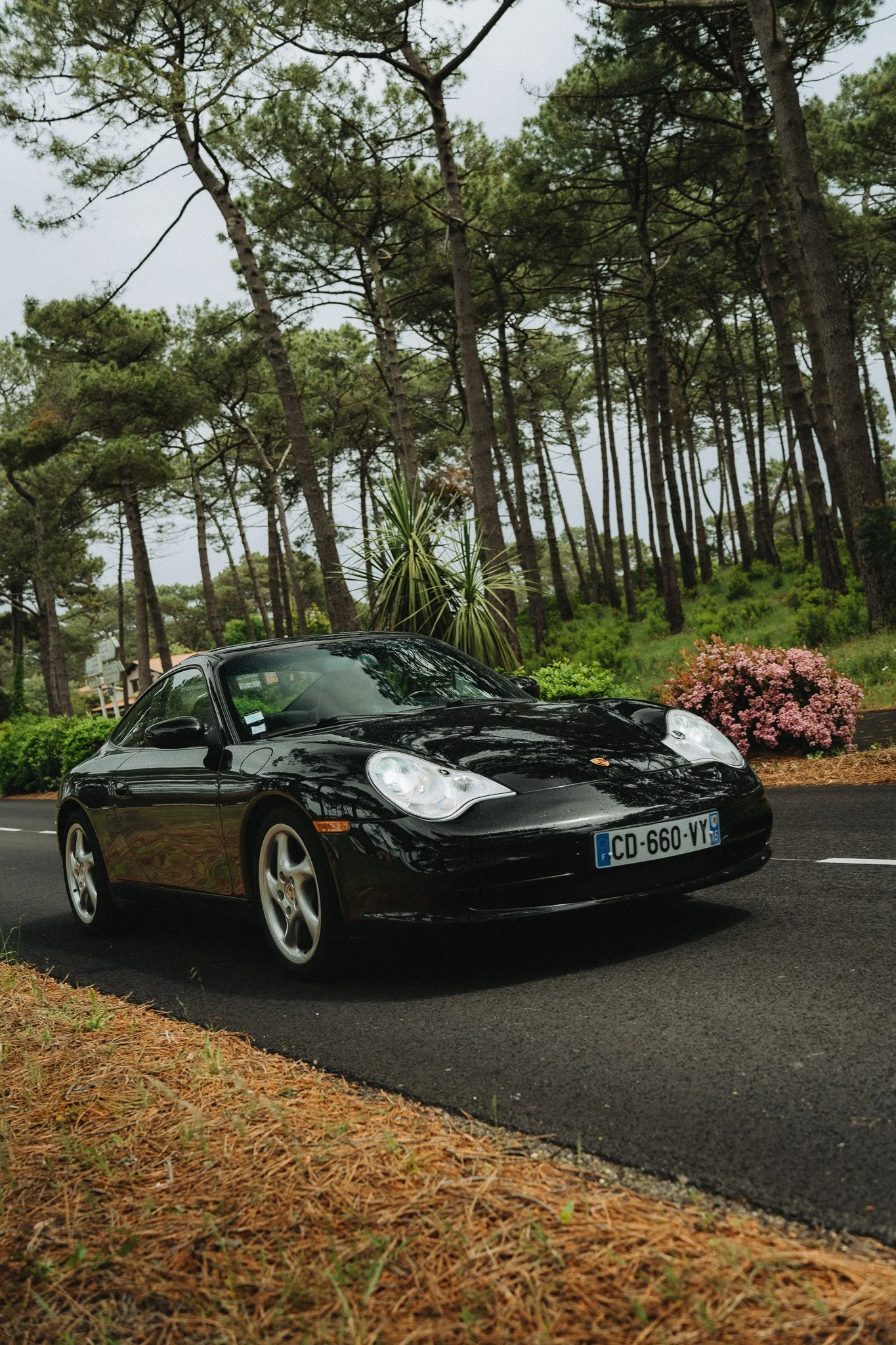 A7403201.jpg