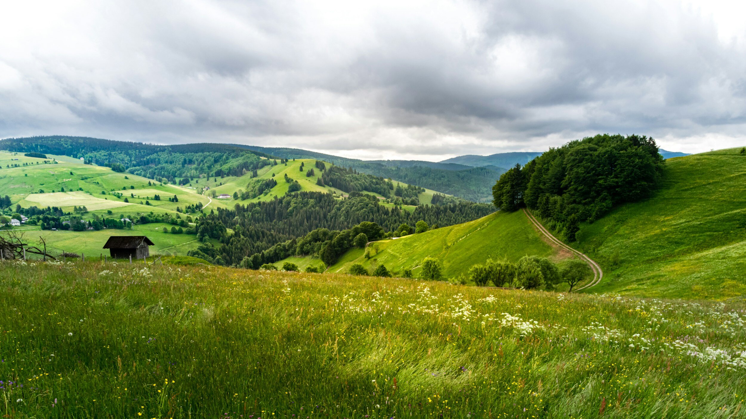 Prairies de montagne