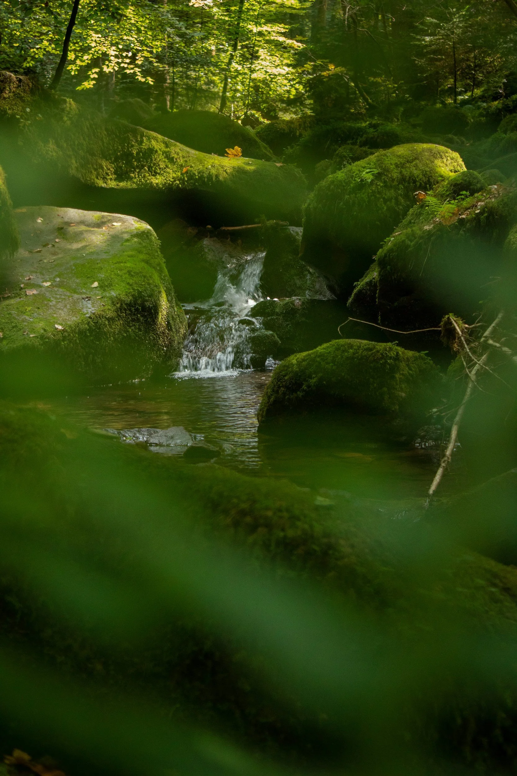 Mountain idyll