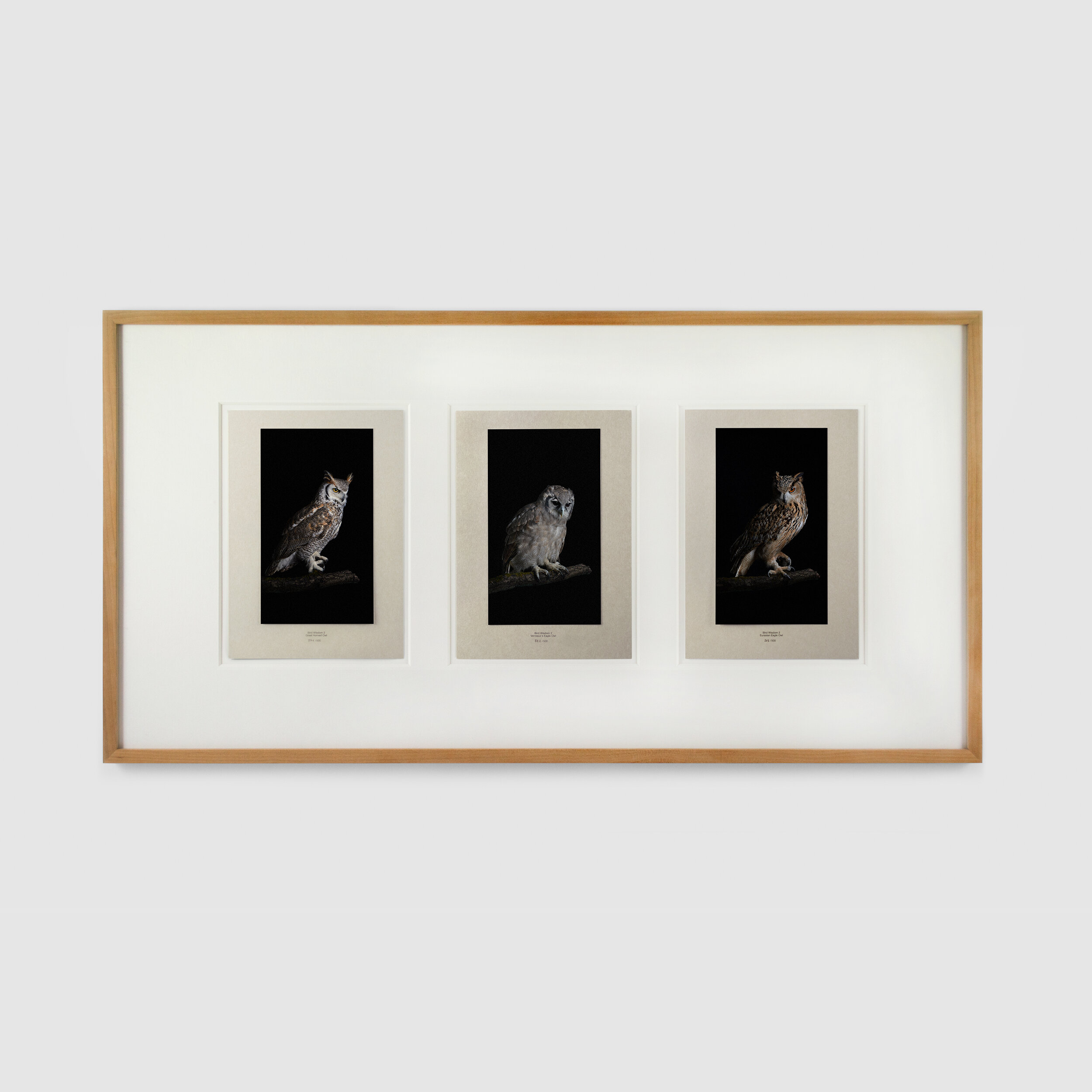 Grothmaak_Birdwisdom_2_triptychon_Gerahmt.jpg