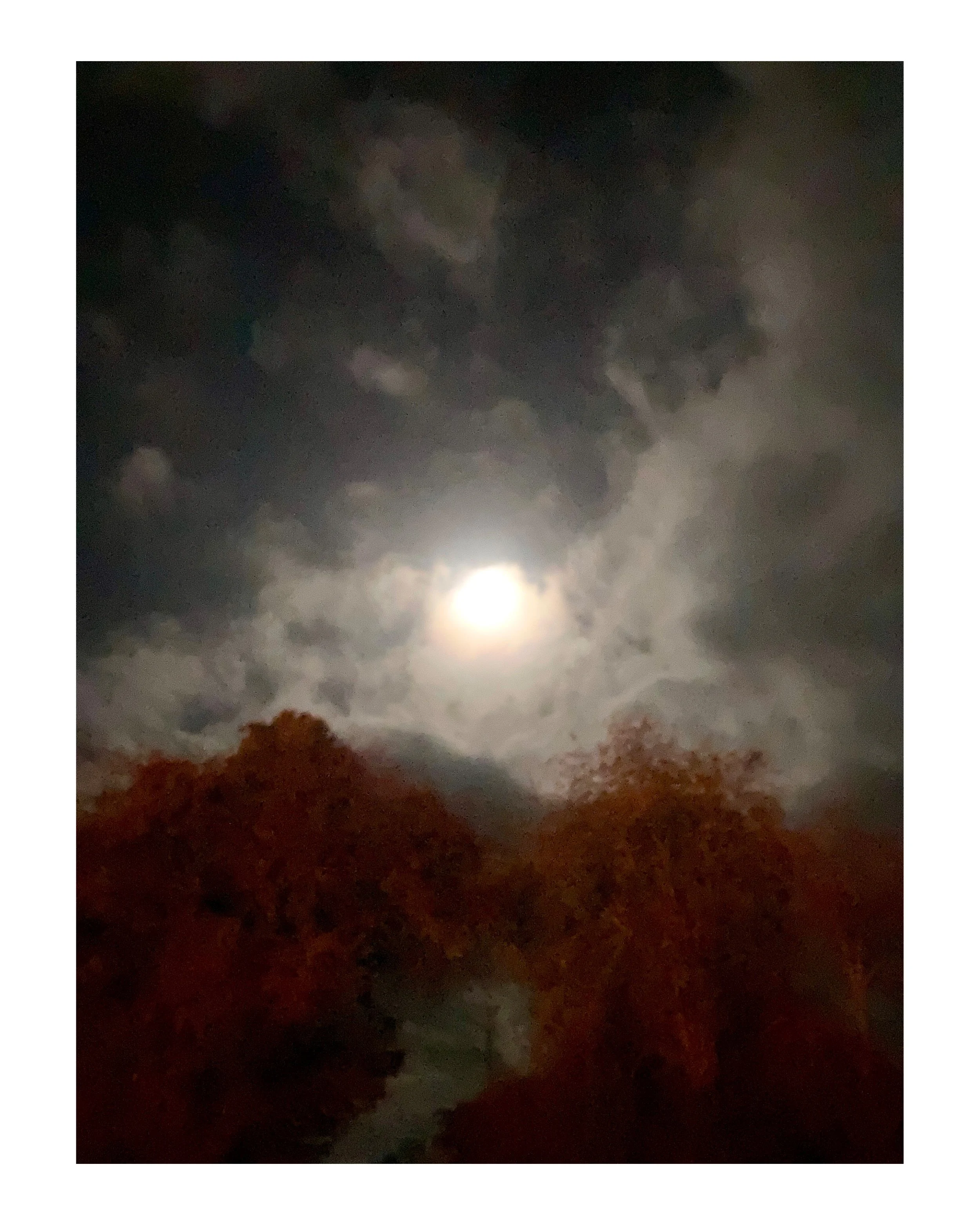 image3.jpeg