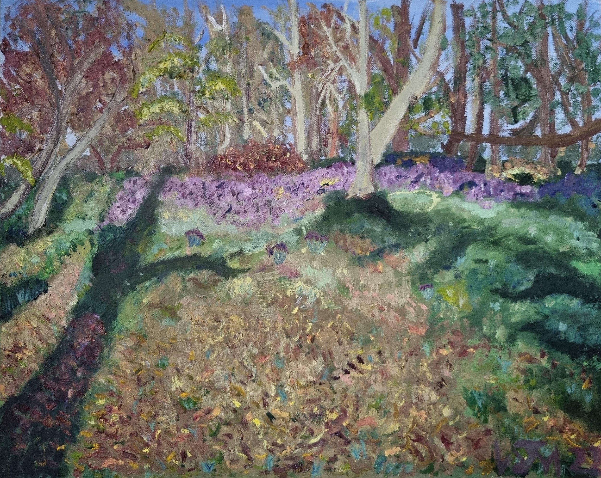 Bluebell Woods / Oil on Canvas
