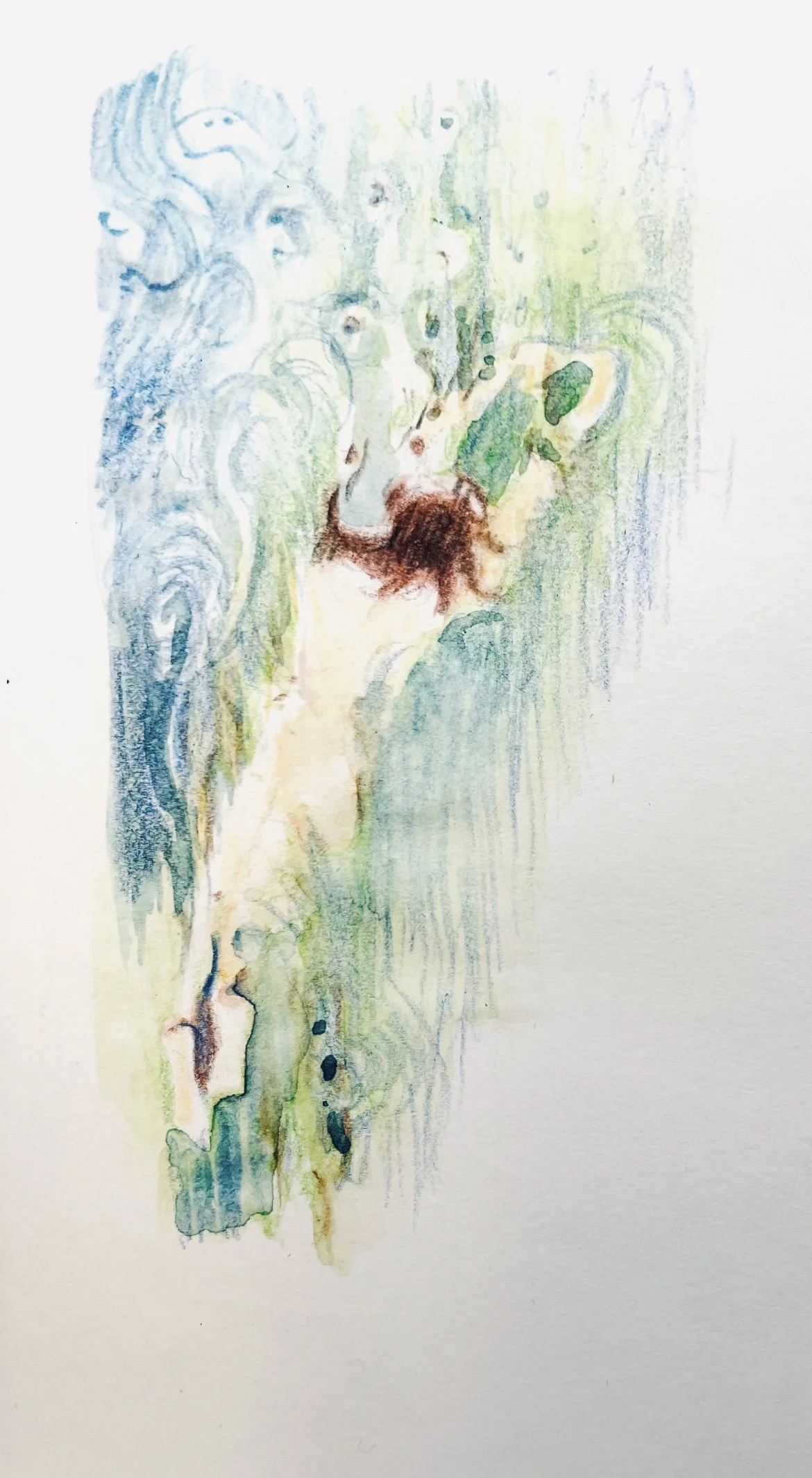 IMG_9358 - Claire Harding.jpeg