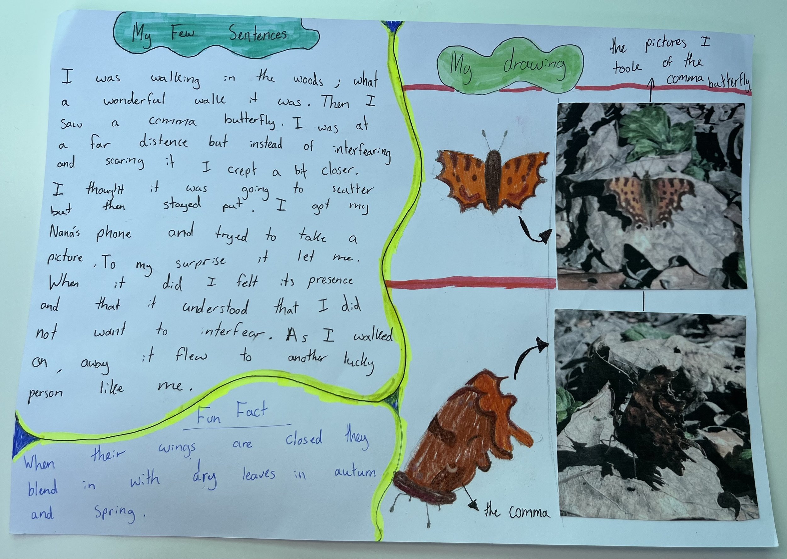 becki_yeoman@hotmail.com - Clarissa, age 11, part 2.jpeg