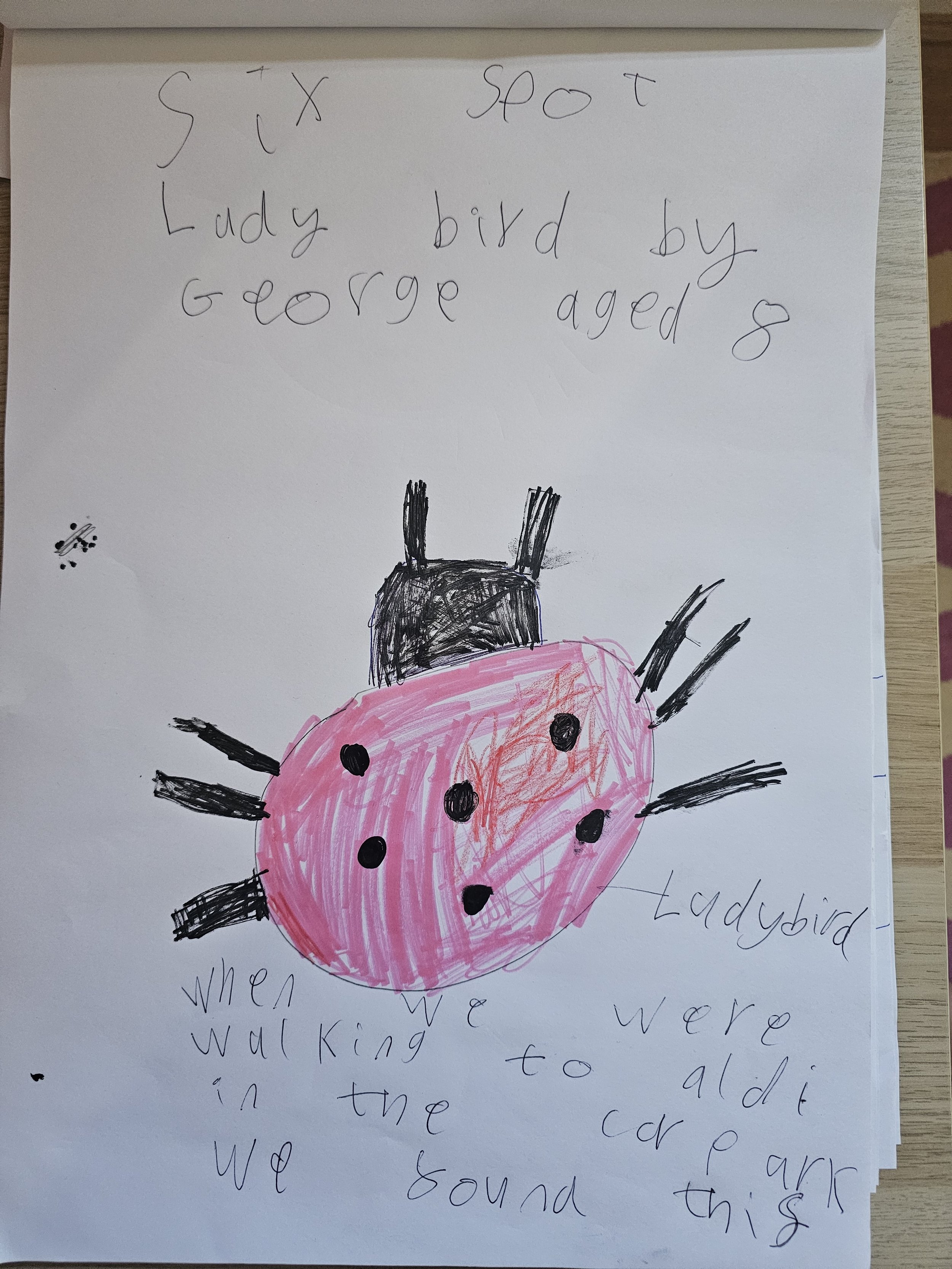 charliebingham1517@gmail.com son George, age 8 .jpg