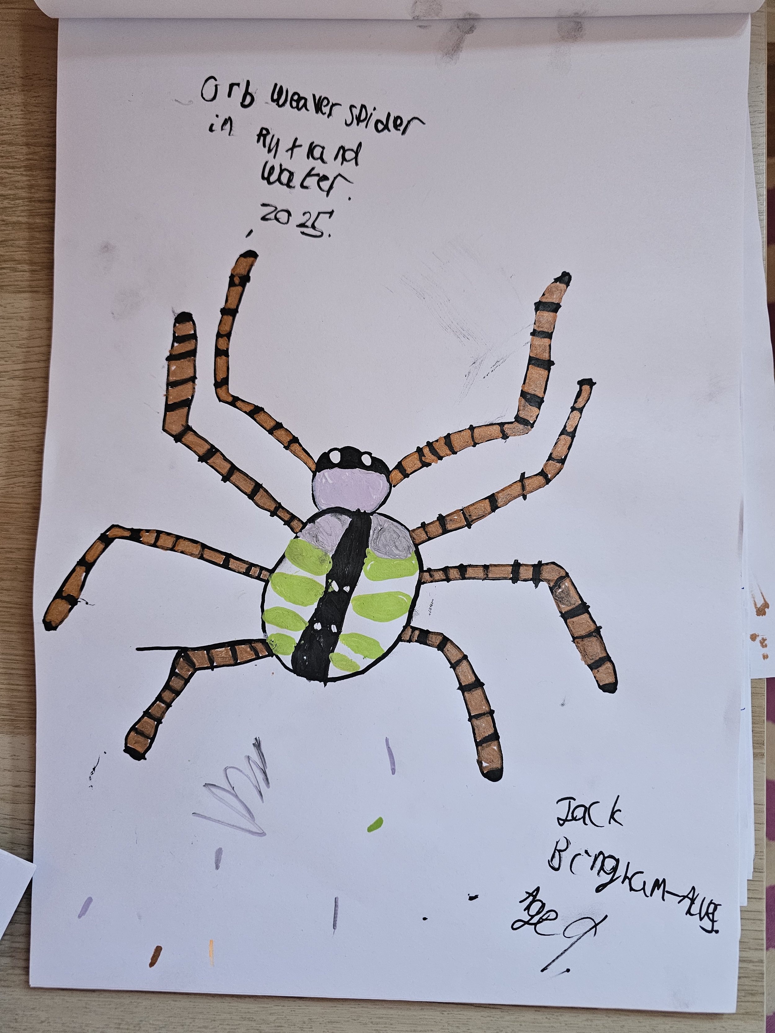 charliebingham1517@gmail.com Jack, aged 9.jpg