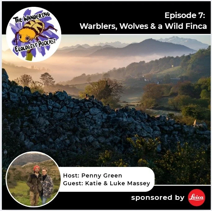 Katie and Luke join the brilliant Penny Green for a two-part podcast recorded at Wild Finca this past spring. Part 2.

We discuss everything from pond creation to the everyday management of the livestock, we hear Grasshopper Warblers, Red-backed Shri