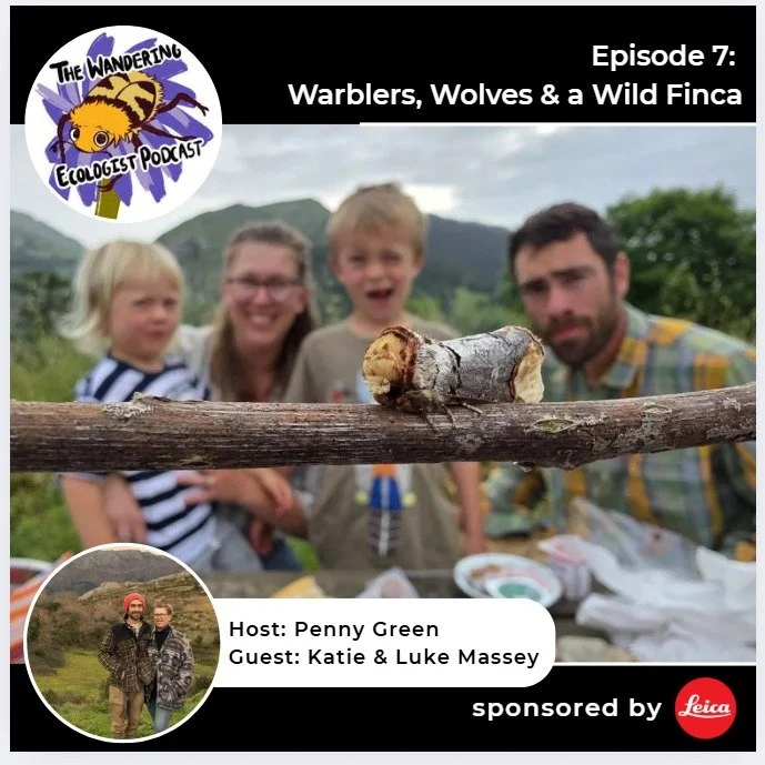 Katie and Luke join the brilliant Penny Green for a two-part podcast recorded at Wild Finca this past spring. Part 1.

We discuss everything from pond creation to the everyday management of the livestock, we hear Grasshopper Warblers, Red-backed Shri