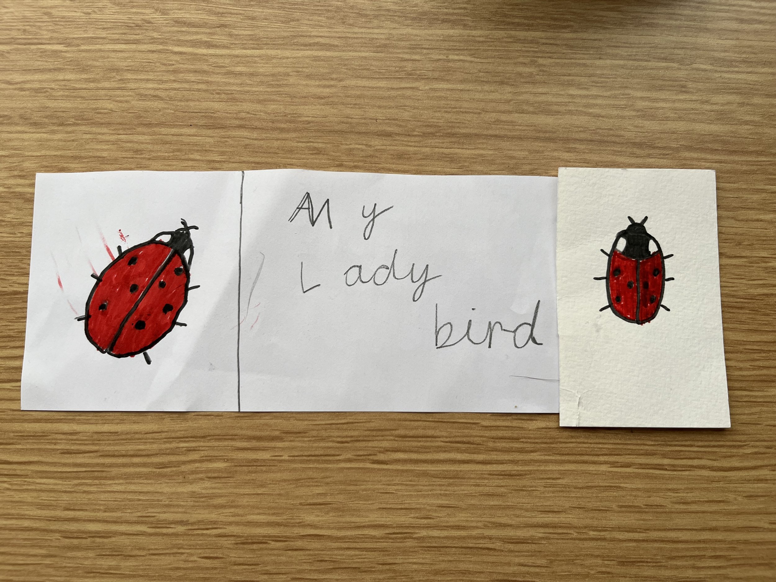 becki_yeoman@hotmail.com Hollie Yeoman, age 9.jpeg