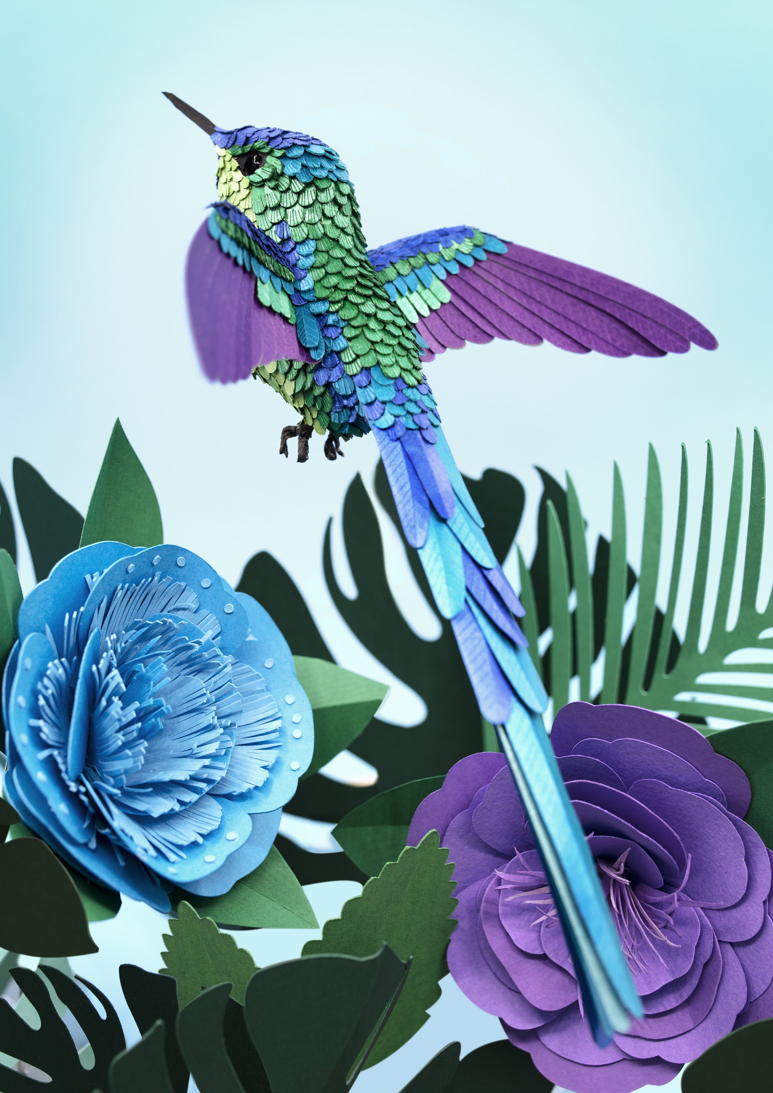 BLUE HUMMINGBIRD SPRECTRUM copy.jpg
