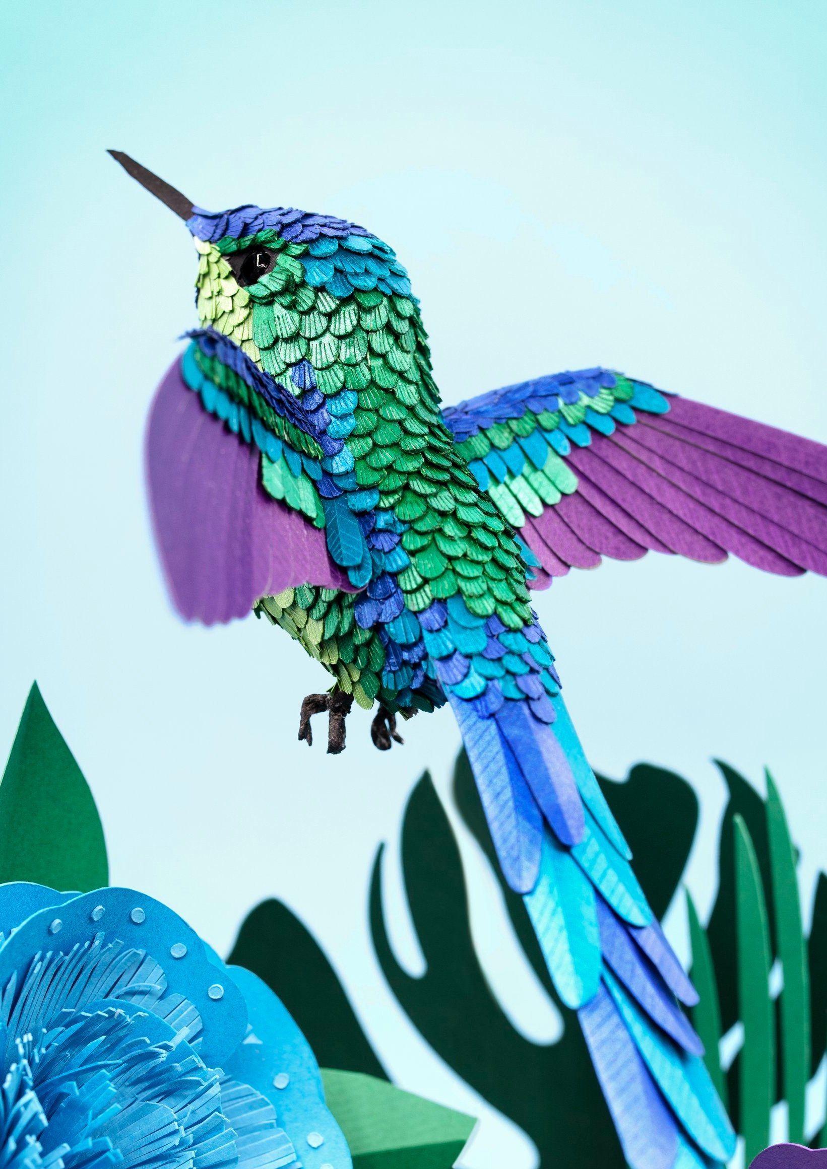 BLUE+HUMMINGBIRD+SPRECTRUM+copy.jpg