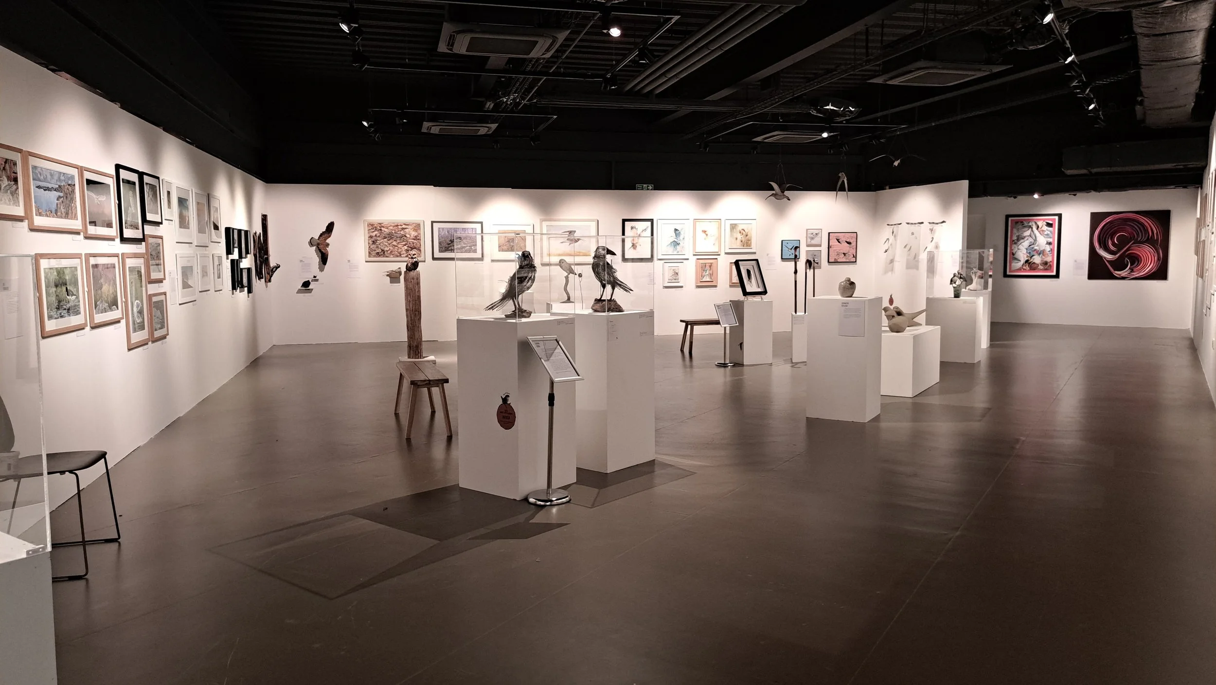 Brilliance of Birds exhibition at Rheged Centre, Cumbria 3rd July - 4th October 2026