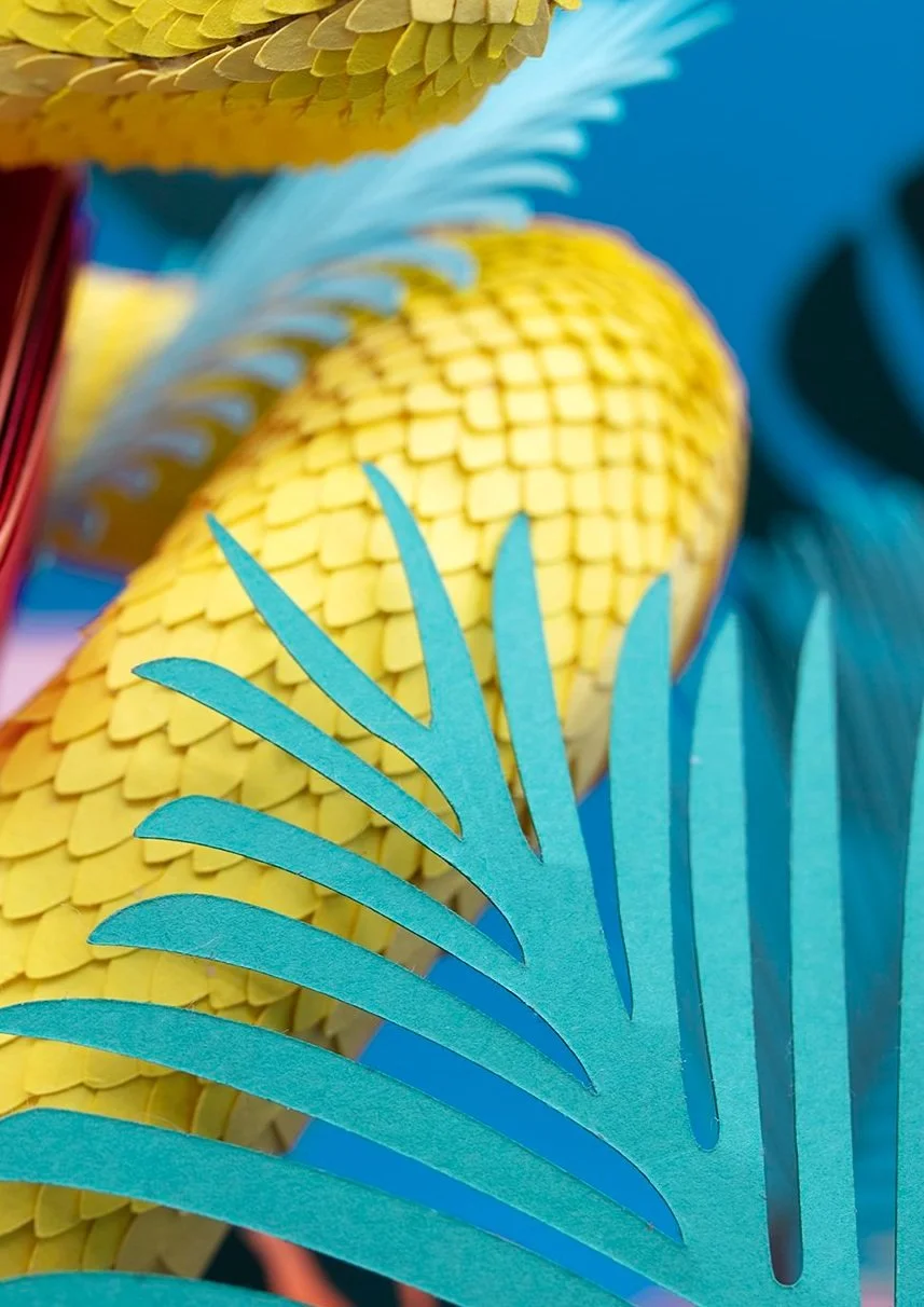 EYELASH VIPER re.jpg