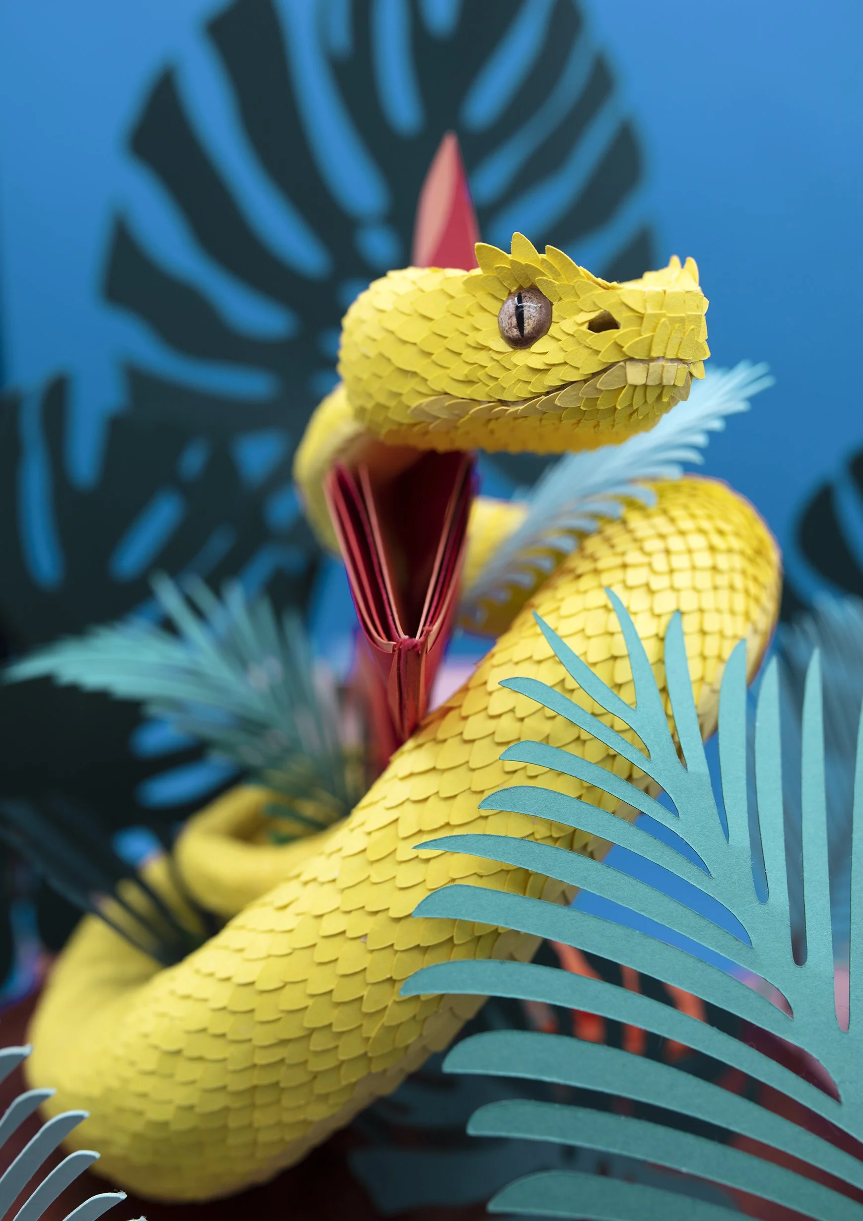 EYELASH VIPER re.jpg