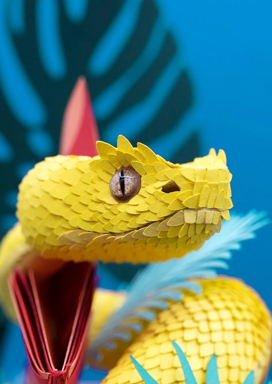 EYELASH VIPER re.jpg