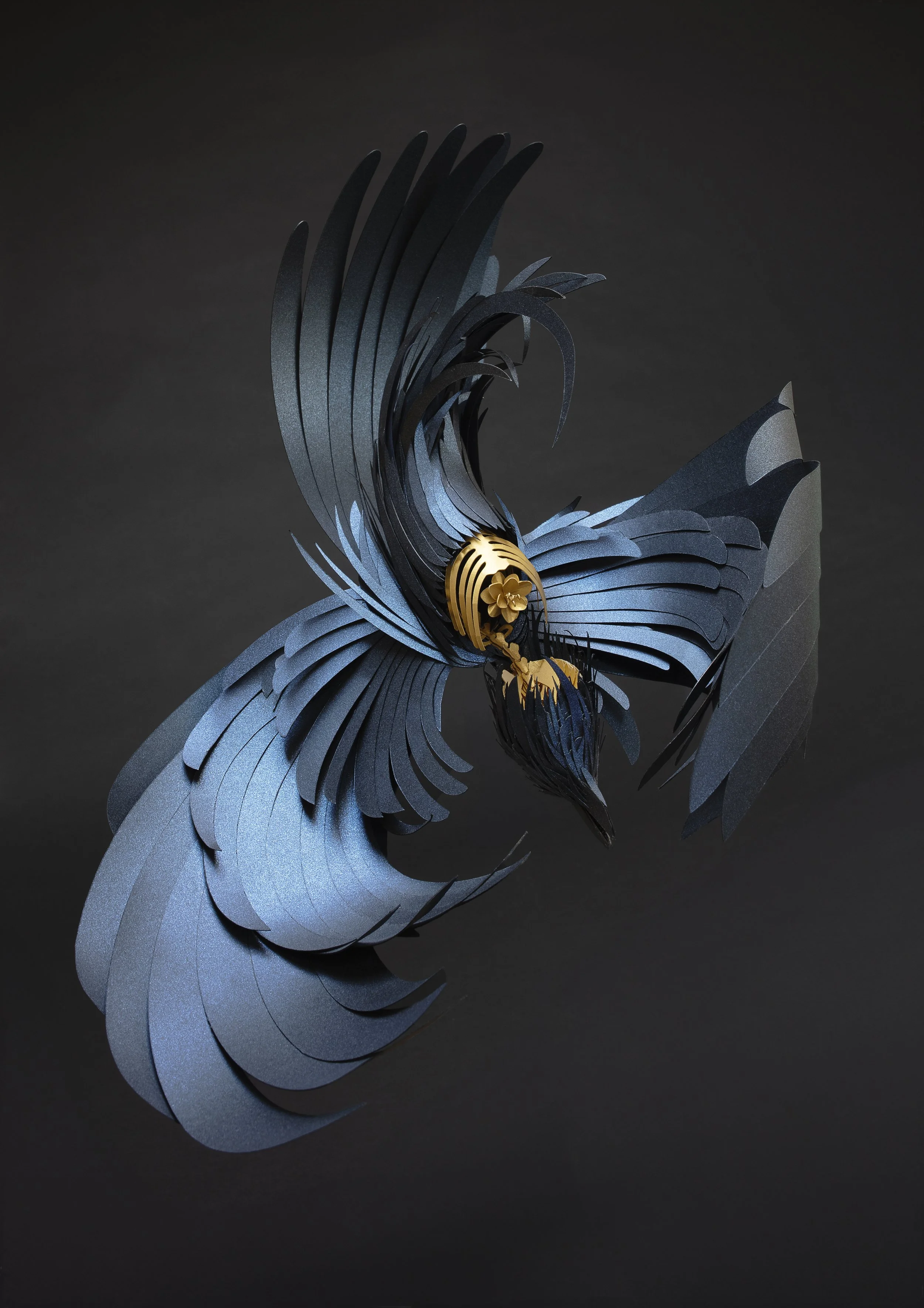 OVULE FINAL EXTRA BITS FIN ADJ 300dpi copy.jpg