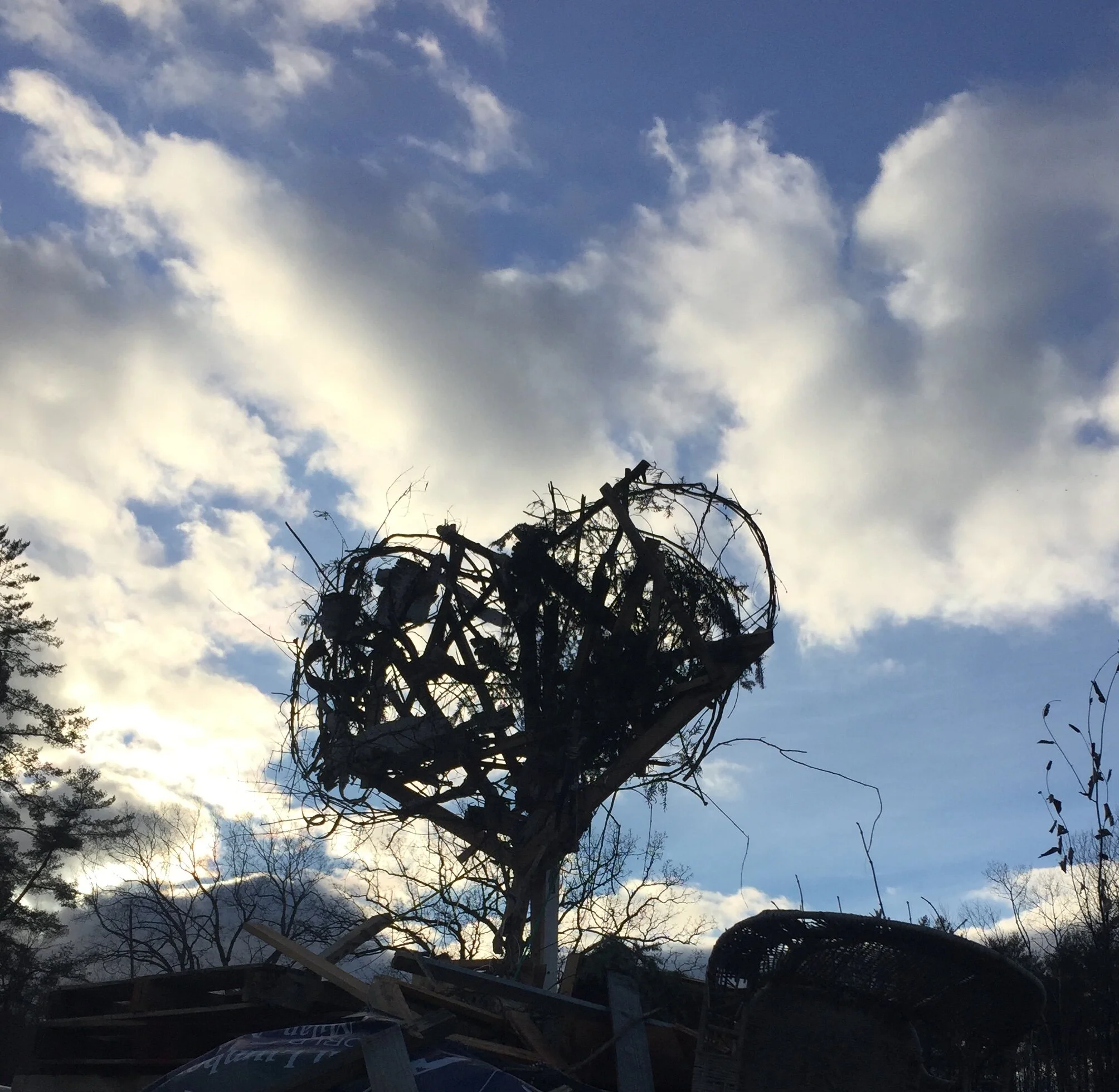 broken heart full of hope.JPG