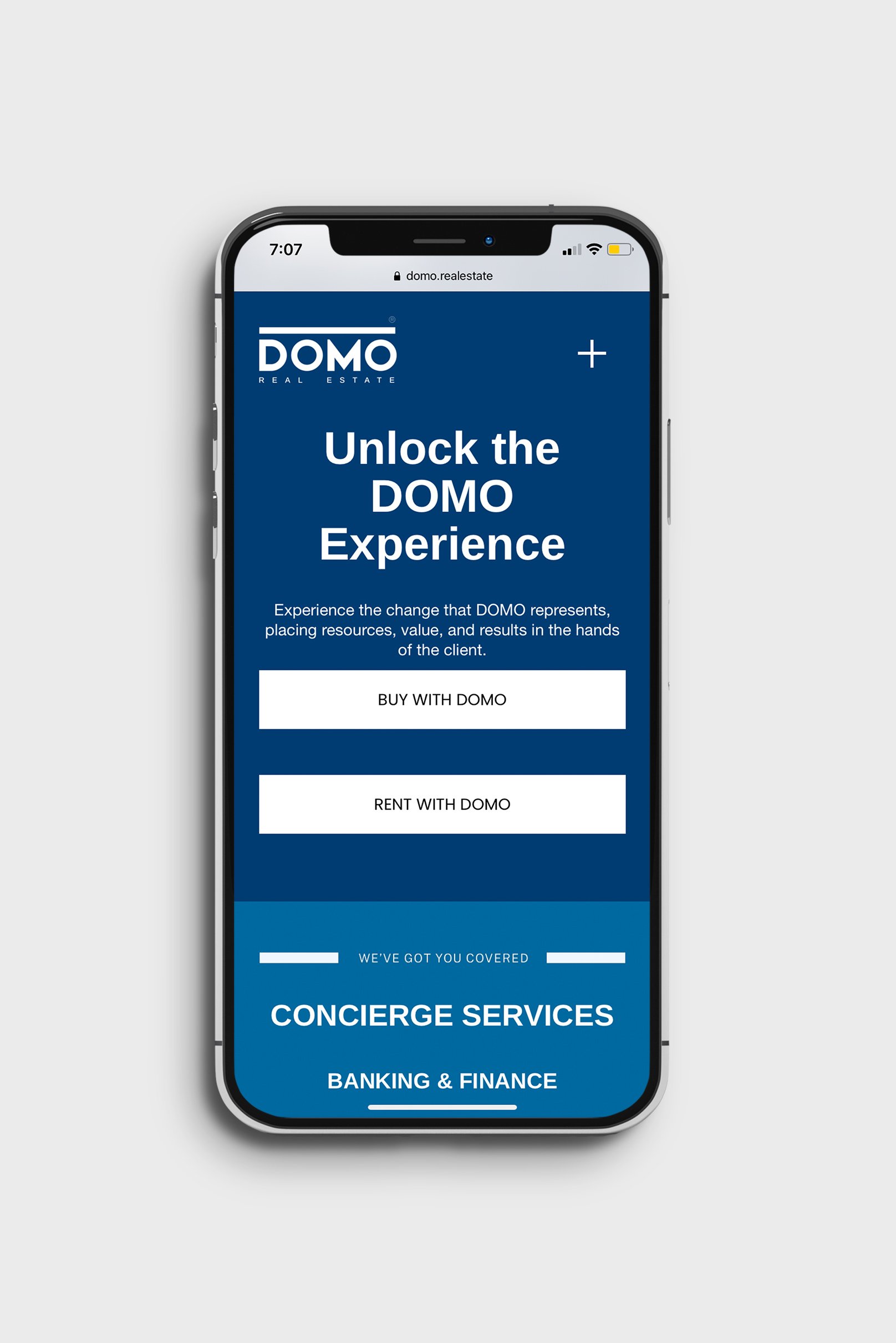 domo-real-estate-website-design-by-arabella-design-10.jpg