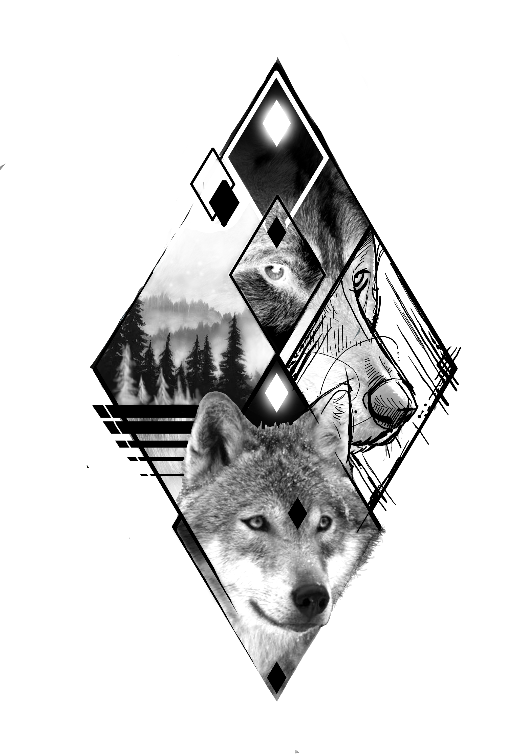 maxime flash loup.png
