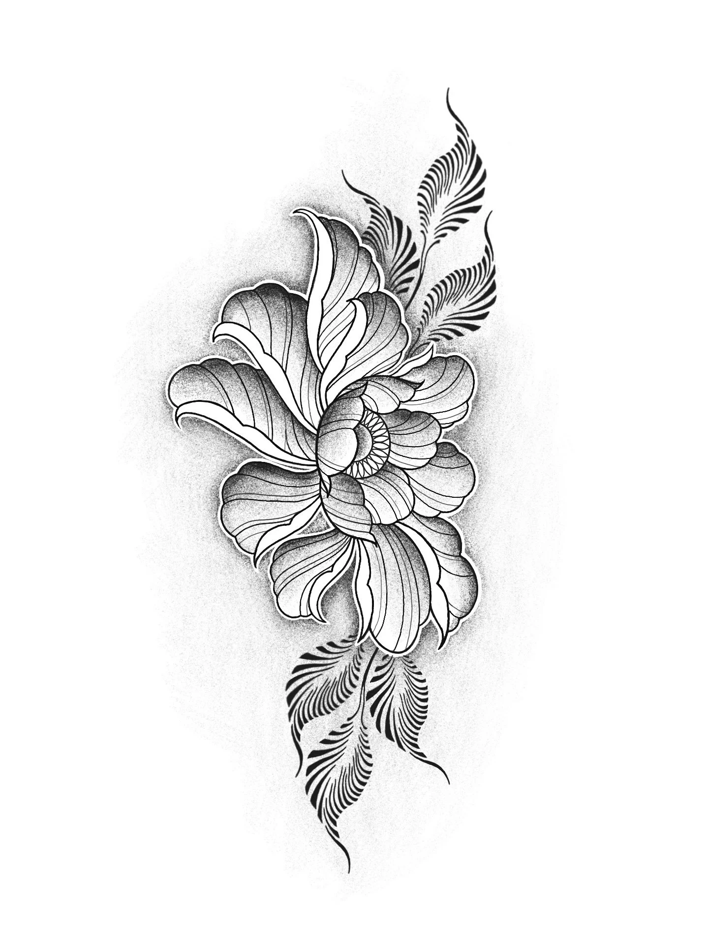 image00017.jpeg