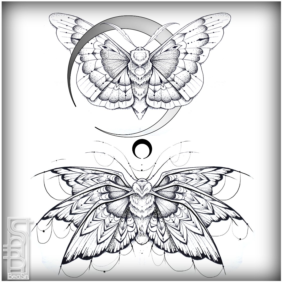 flash papillon.jpg